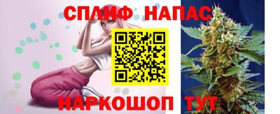 гидра Шелехов
