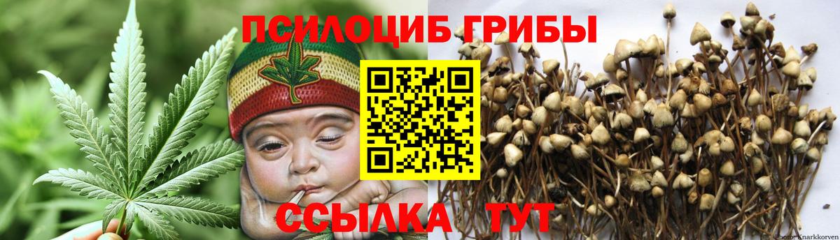 Галлюциногенные грибы мицелий Бугуруслан
